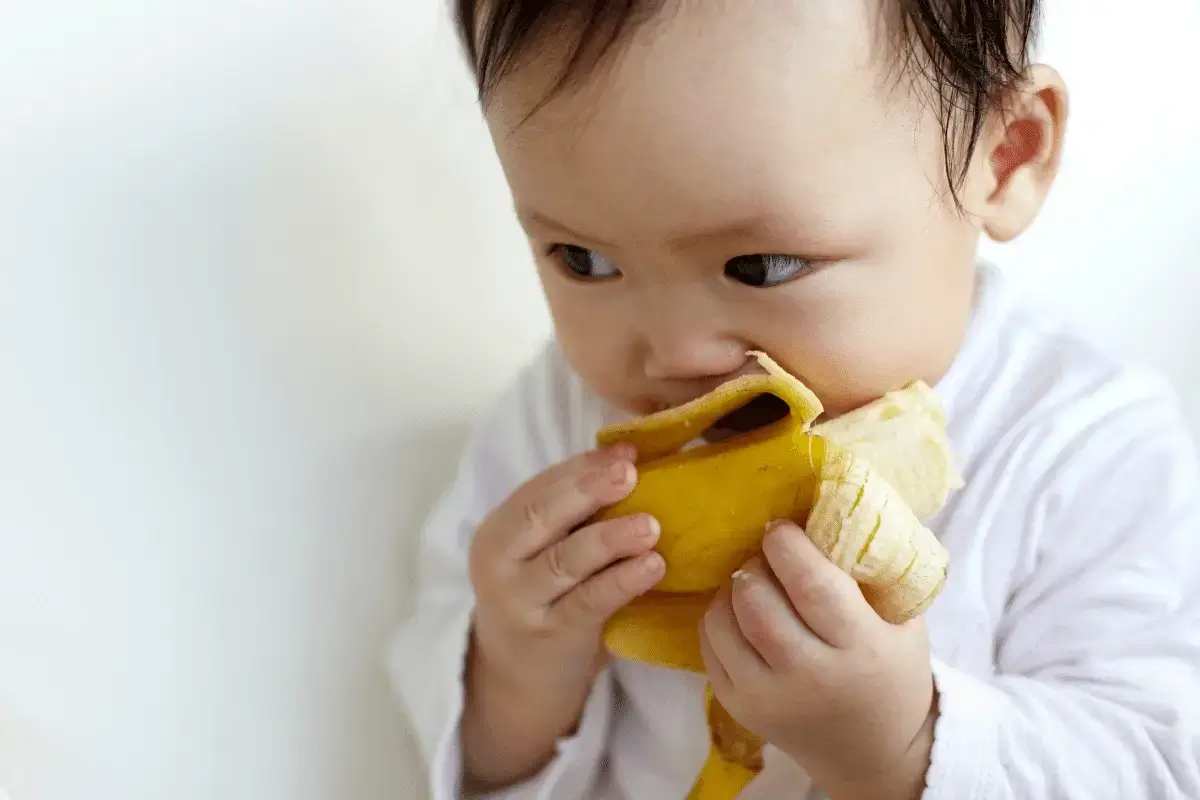 Banana is one of the foods for infants