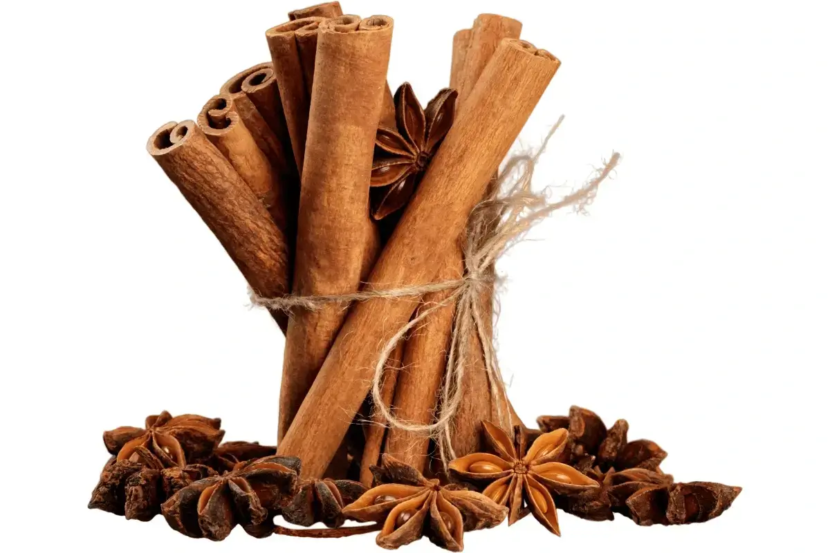 Cinnamon is one of the best diet to lose weight