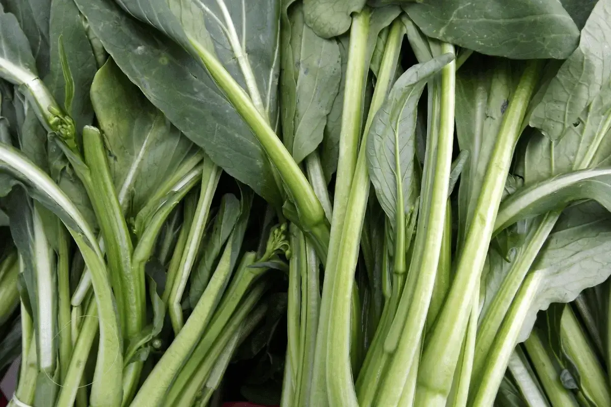 Leafy vegetables are one of the heart healthy meals