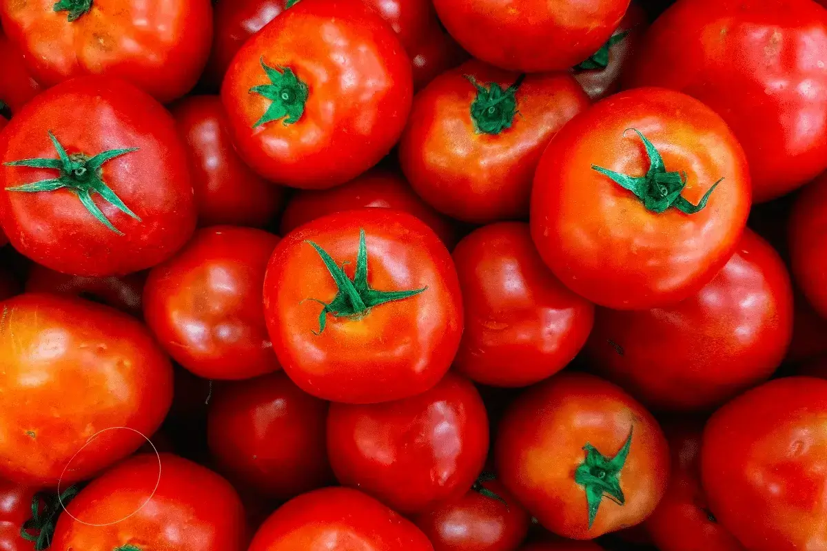 Tomatoes