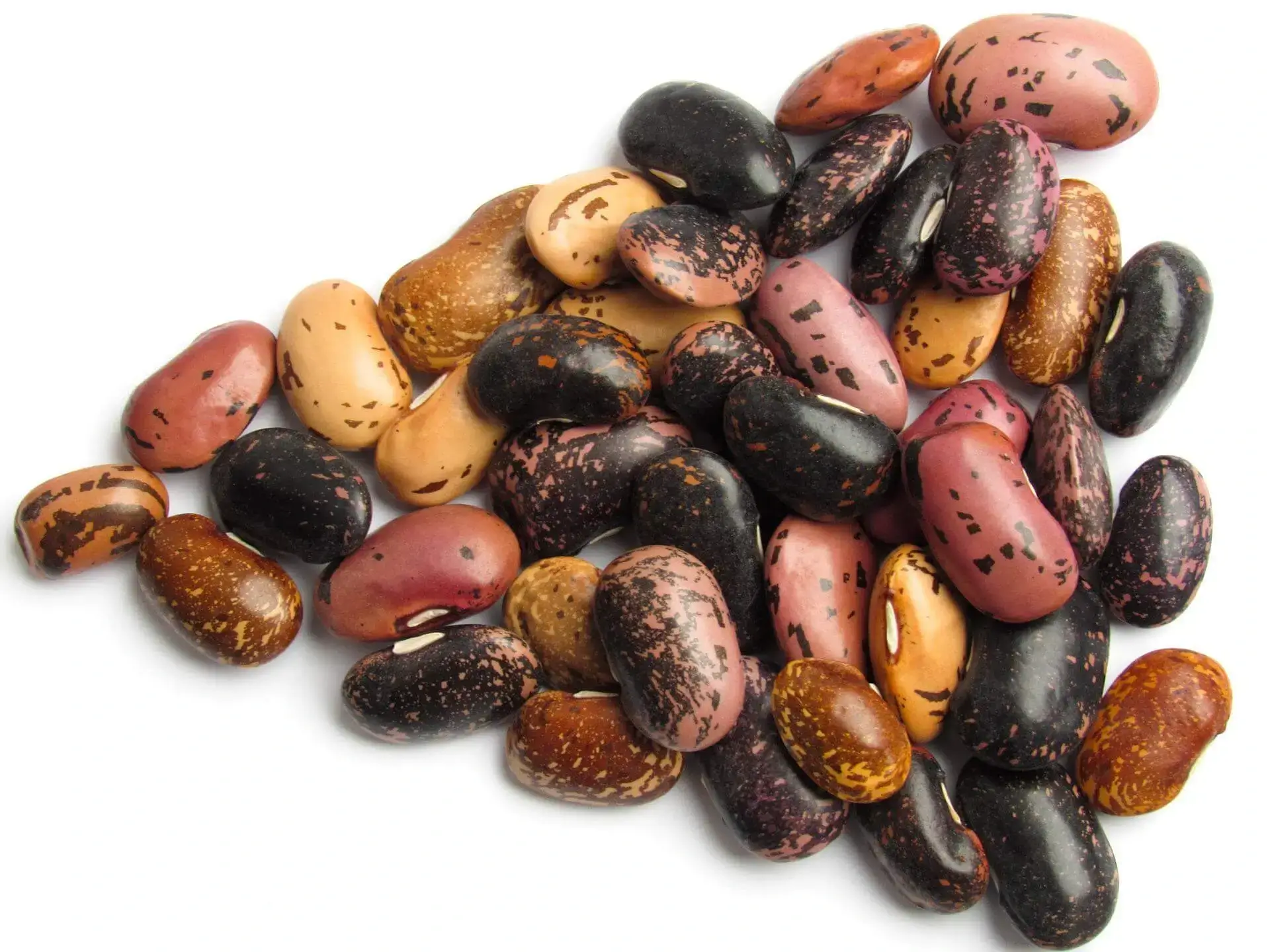 Legumes