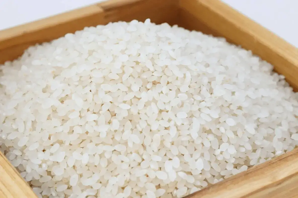 Rice