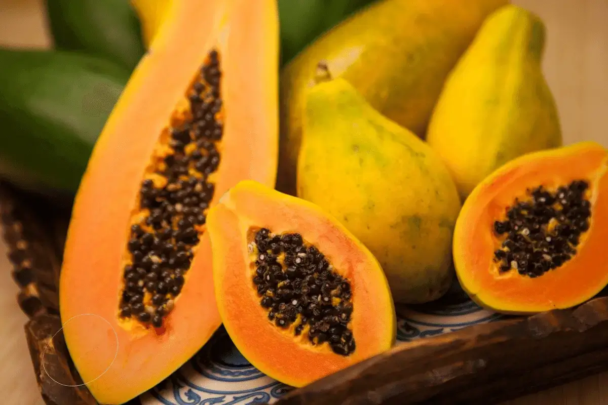 Papaya fruit