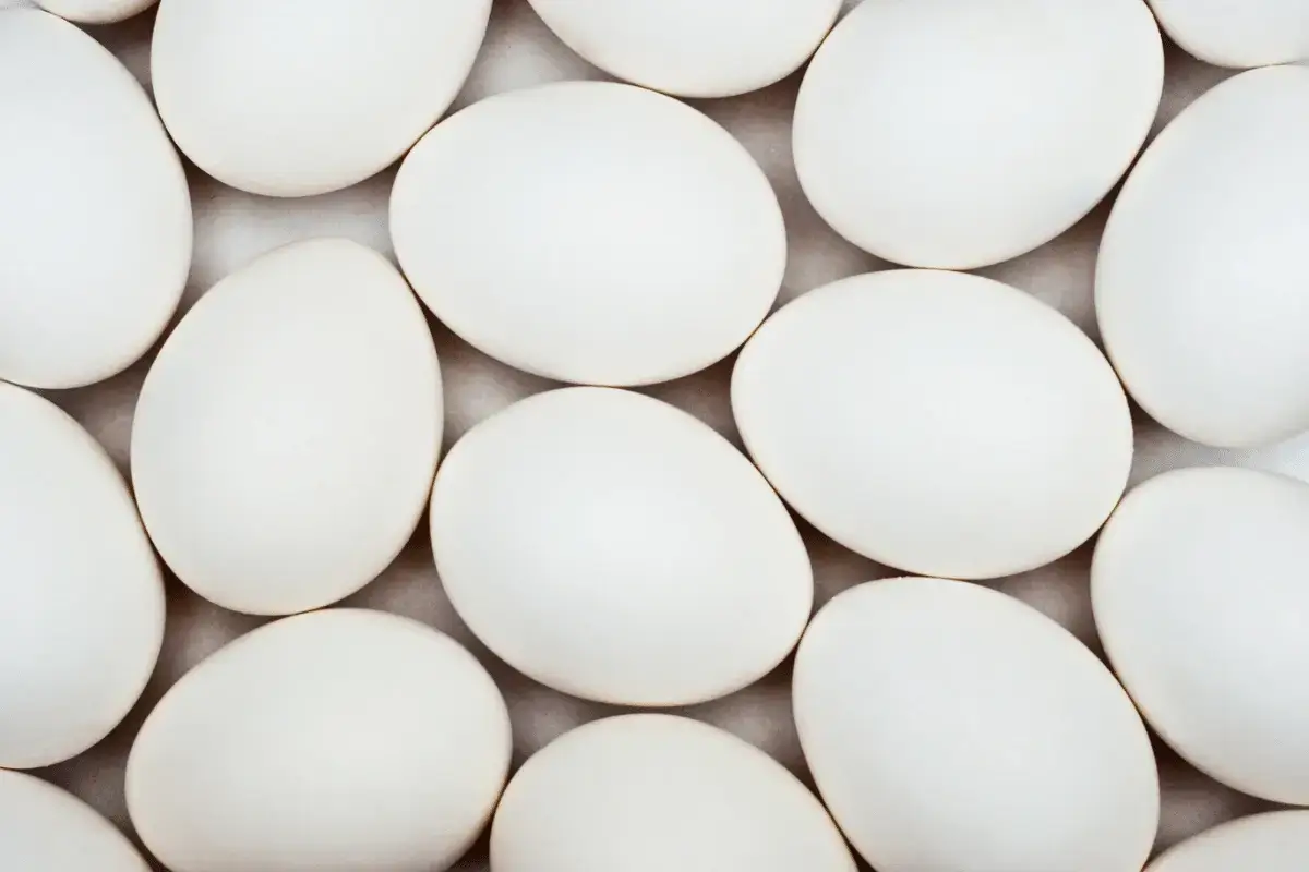 Eggs