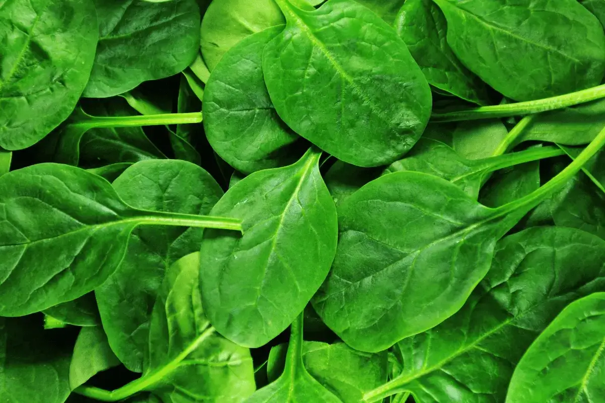 Spinach