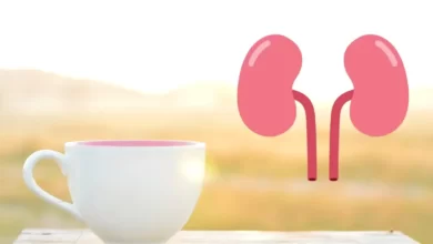 Top 10 Drinks That Are Good For The Kidneys