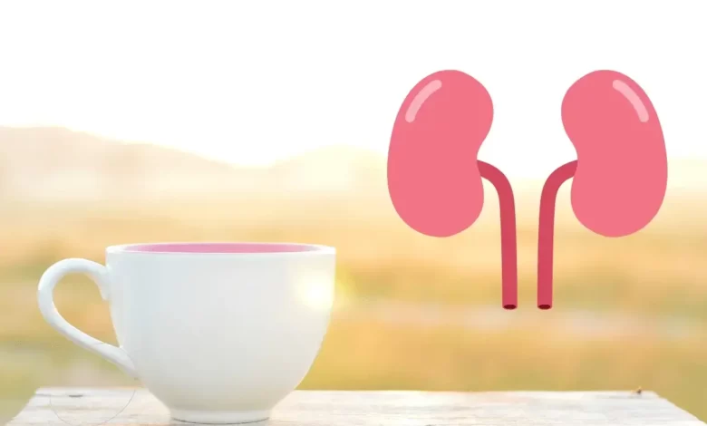 Top 10 Drinks That Are Good For The Kidneys