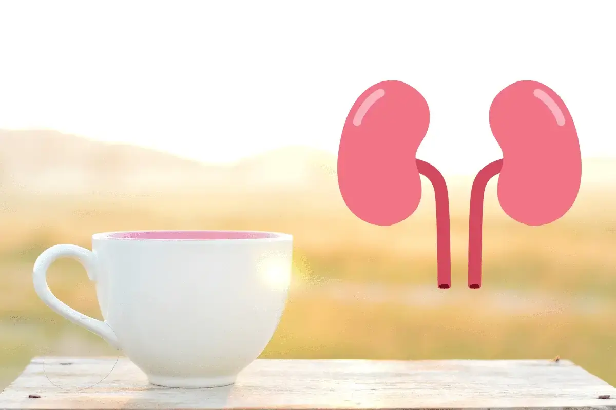 Top 10 Drinks That Are Good For The Kidneys Listing Best