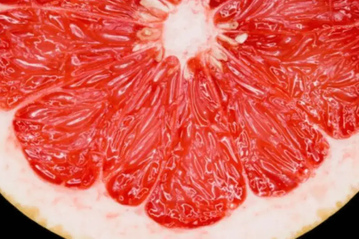 Red grapefruit