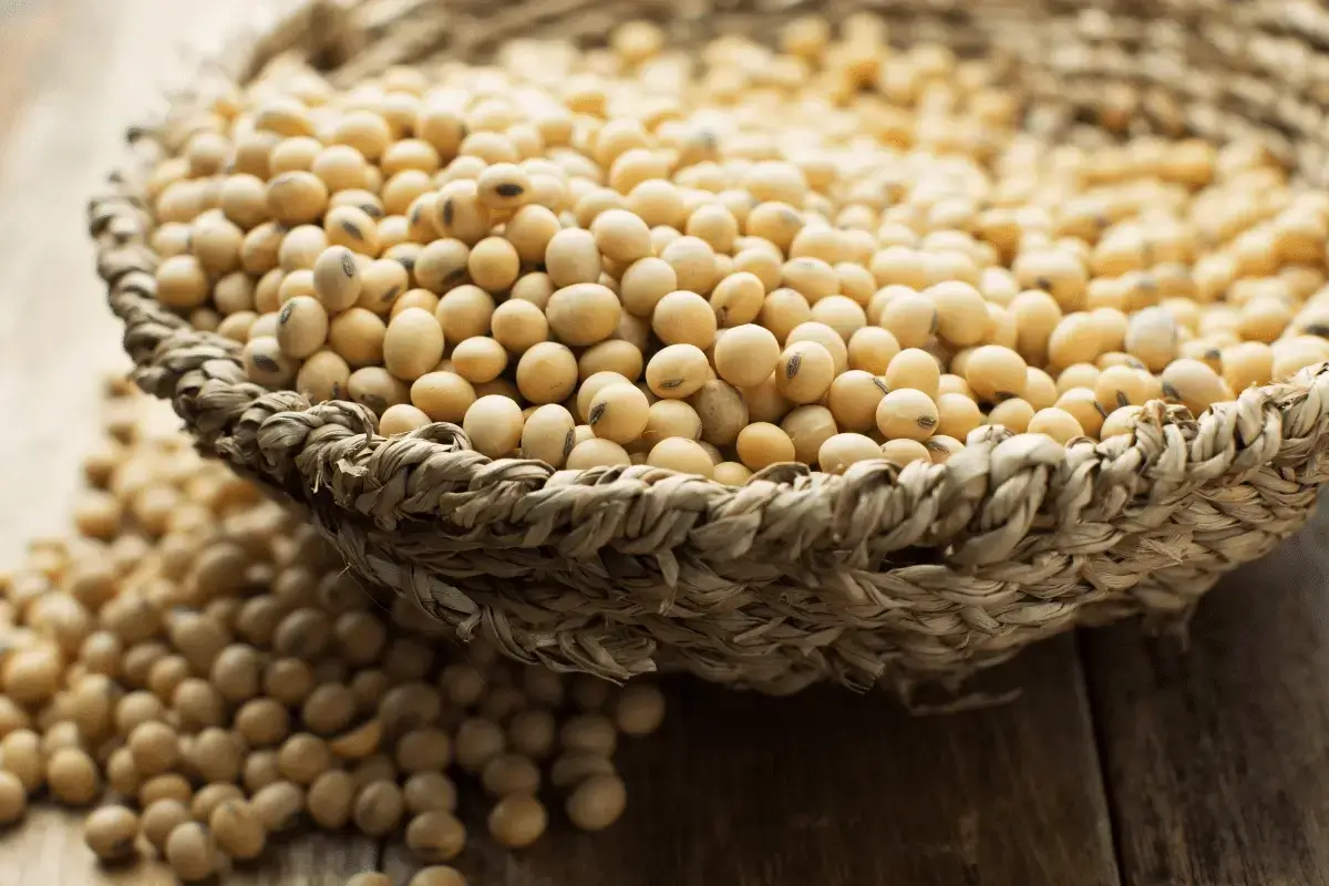 Soybean is one of the list of foods that lower cholesterol