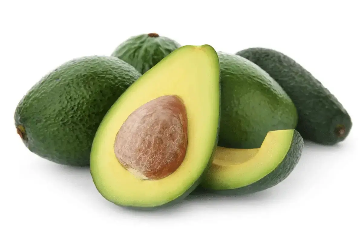 Avocado