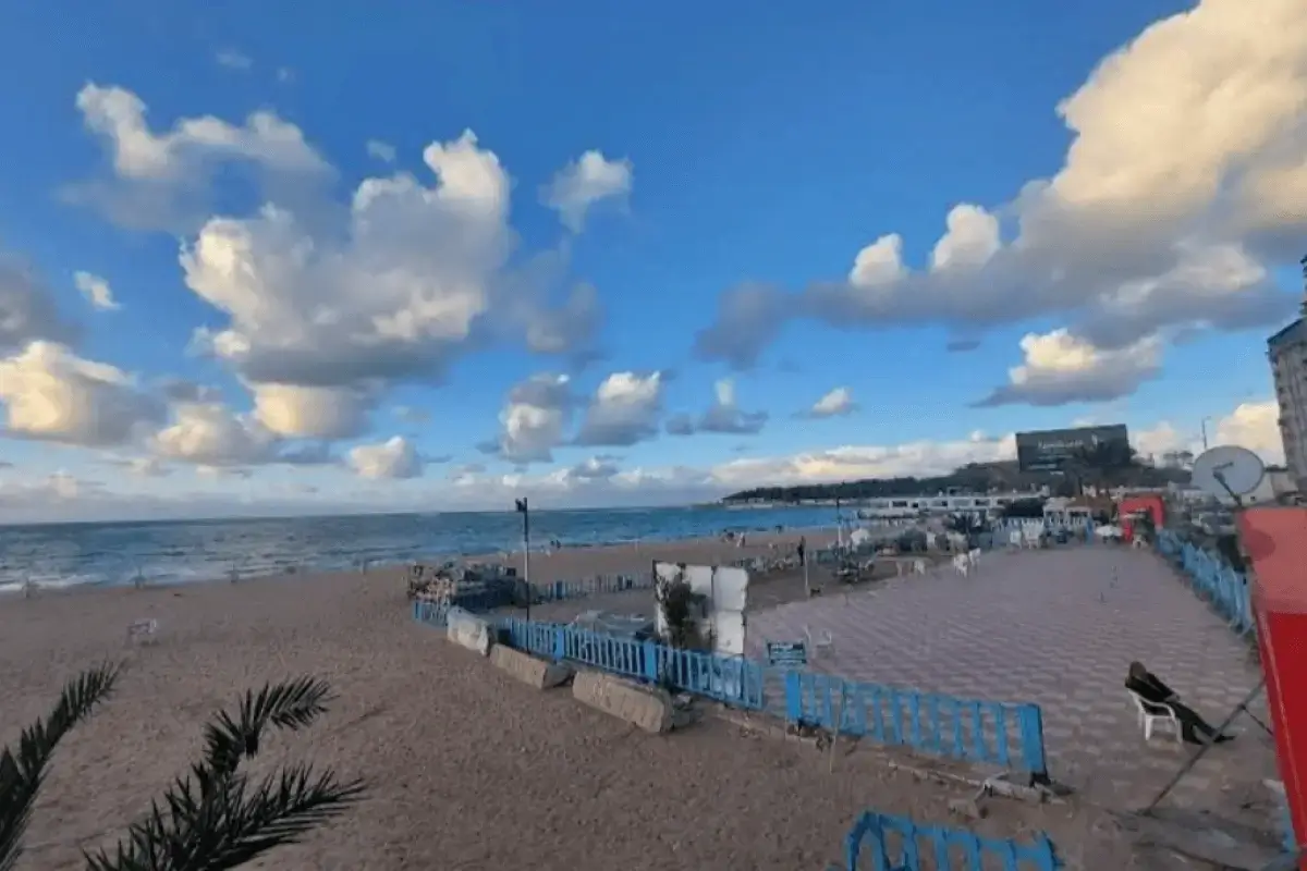 Beach E3lmandra Alexandria