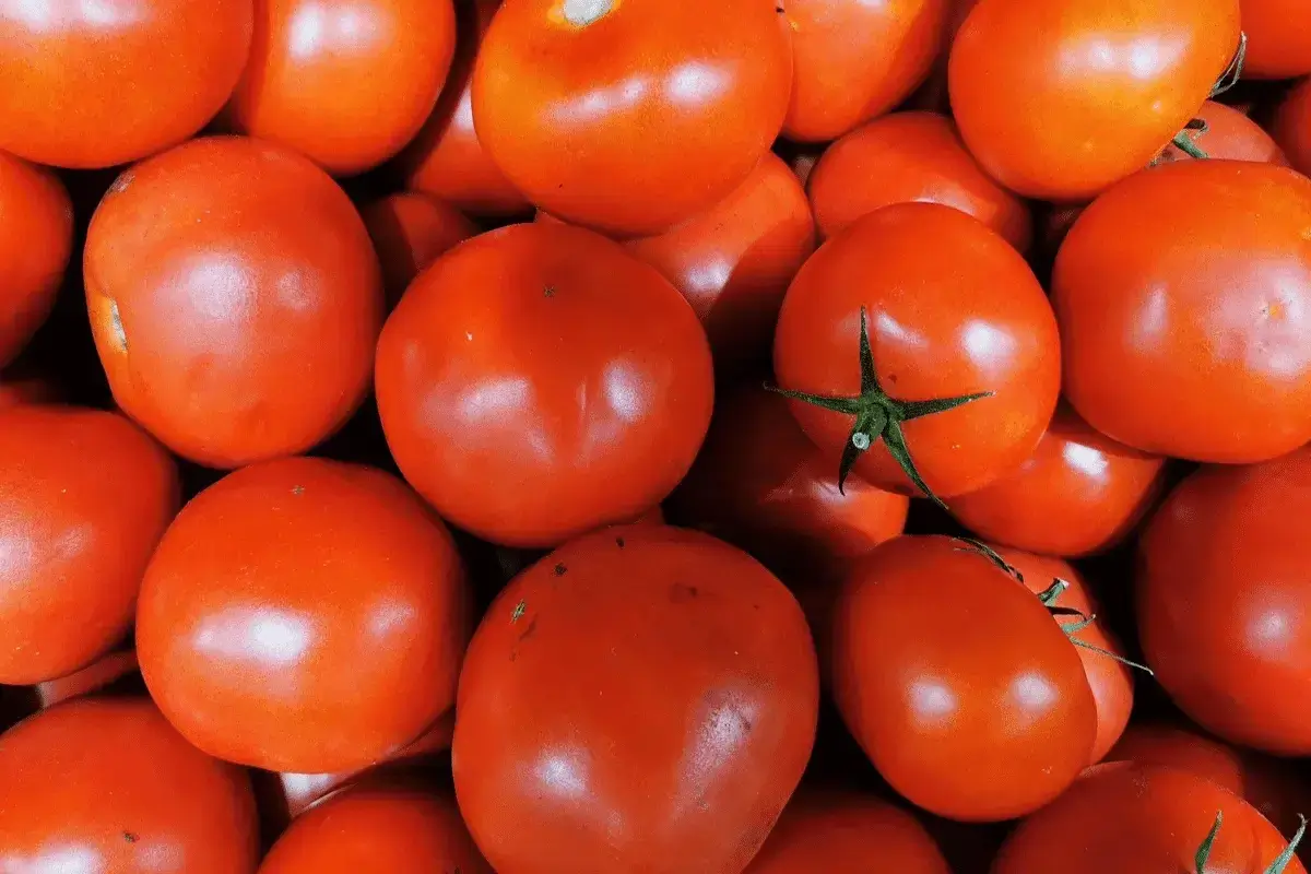 Tomatoes are one of the vegetables for constipation