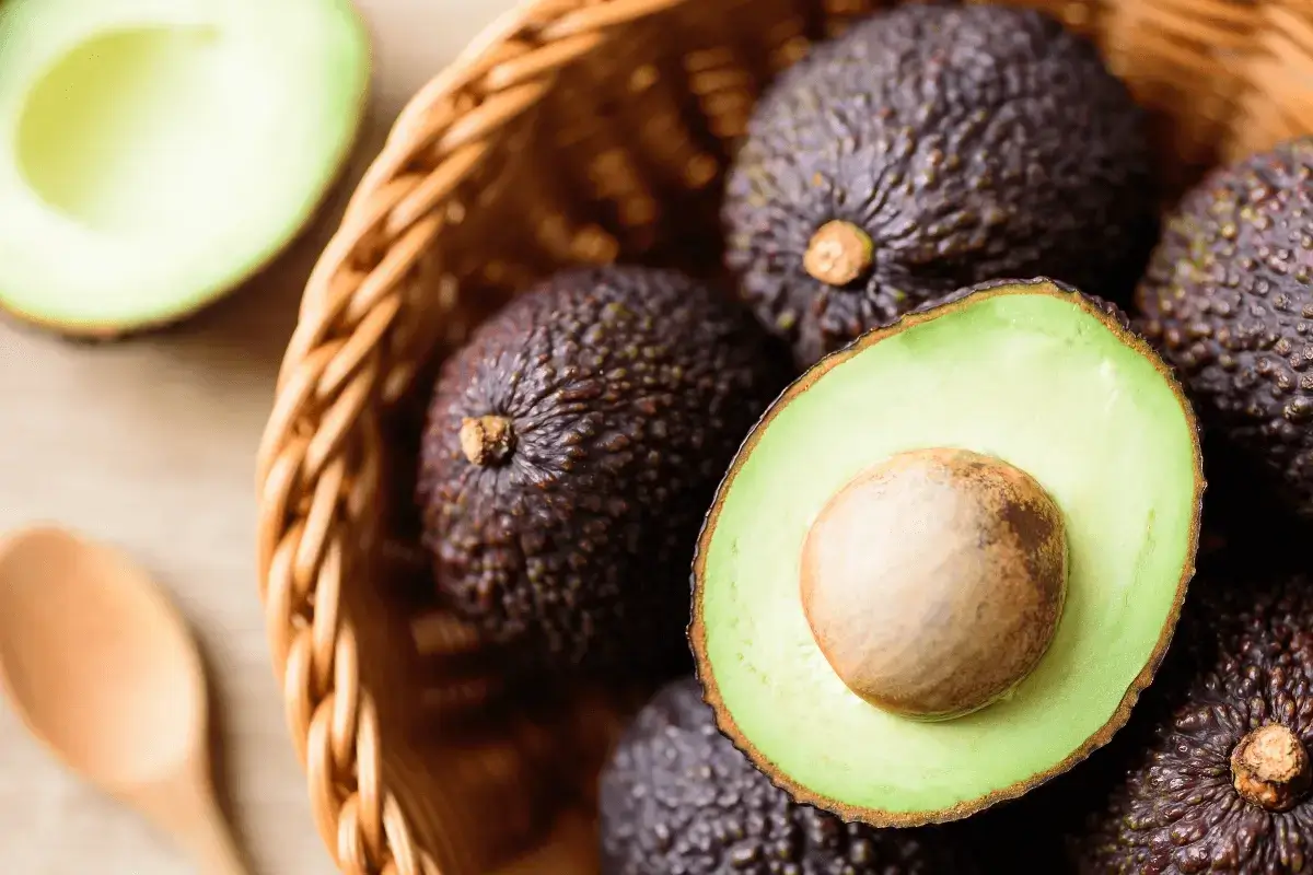 Avocado fruit is one of the fruits that suppress appetite