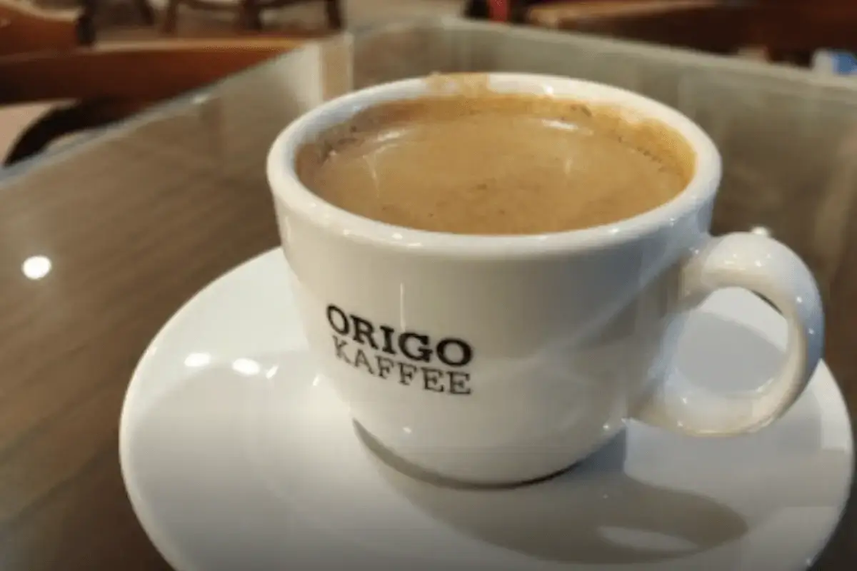 Origo Cafe Zamalek