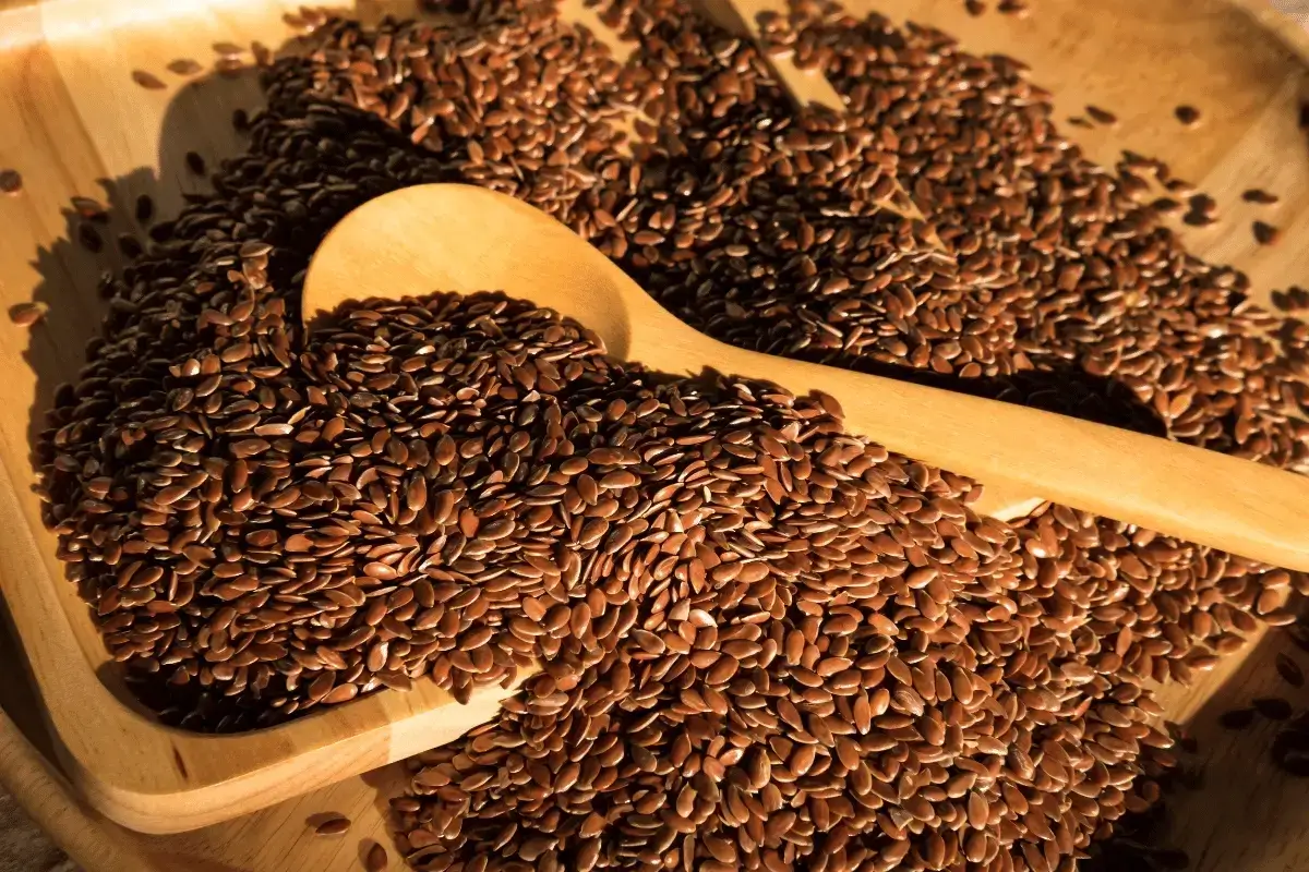 Flaxseed is one of the foods that suppress appetite and burn fat