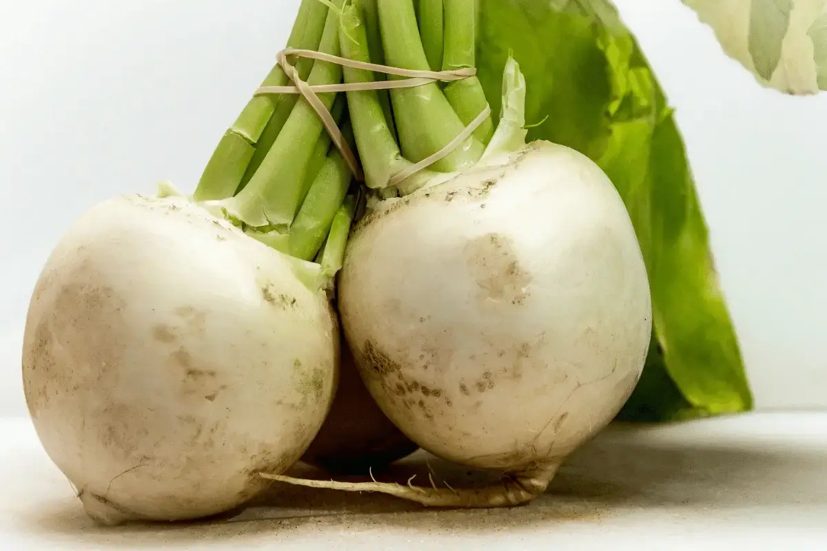 Turnip is one of the vegetables good for constipation