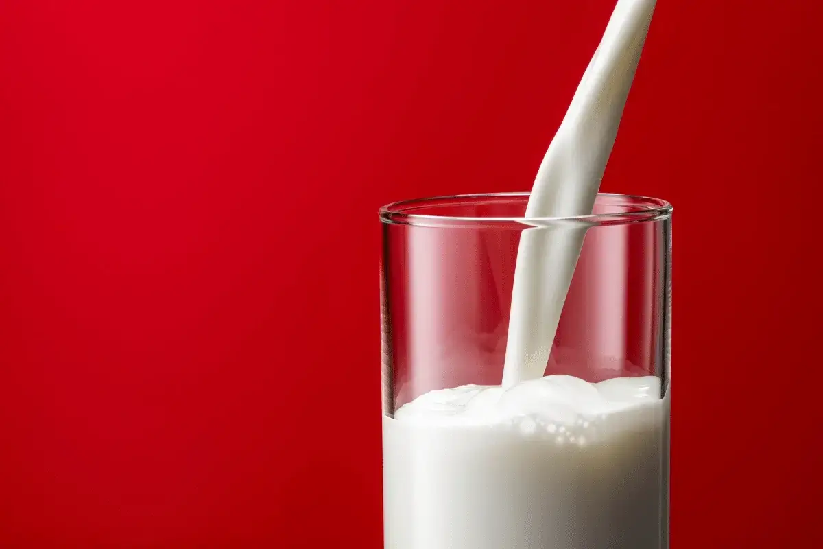 Milk is one of the best drinks that increase metabolism