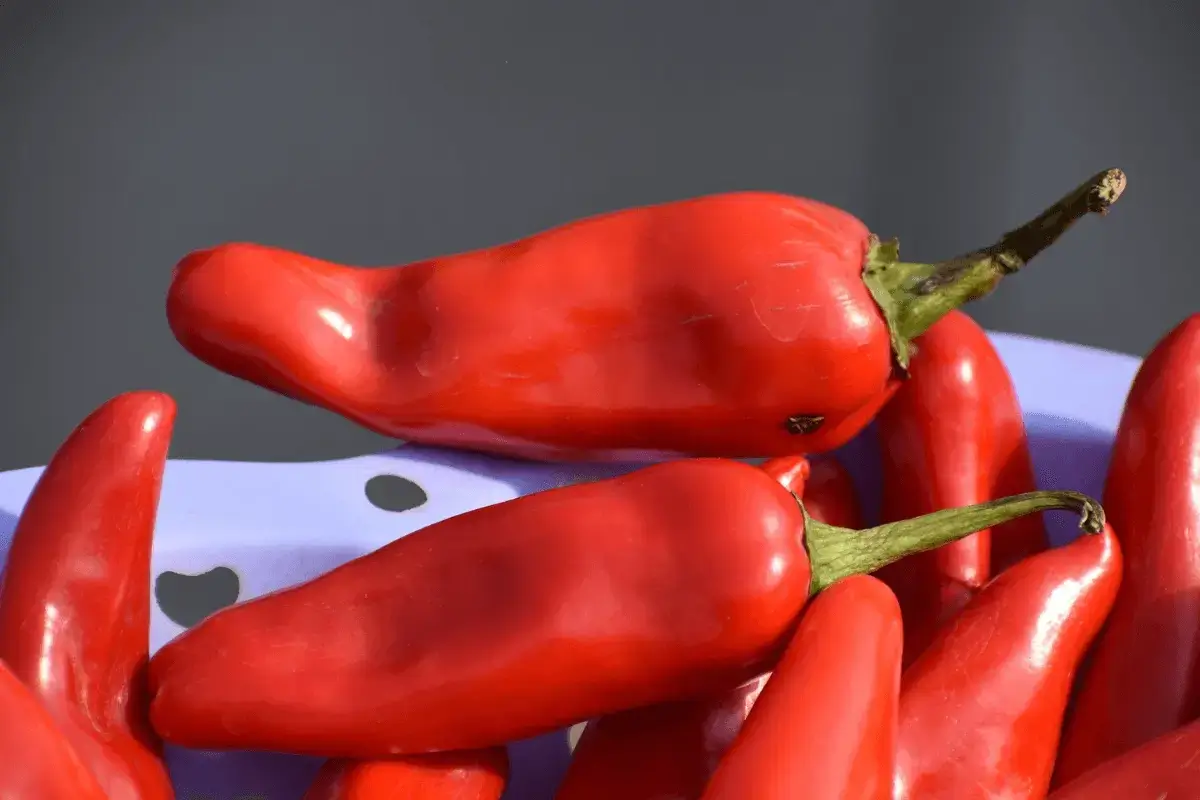 Red pepper is one of the foods that boost your immune system