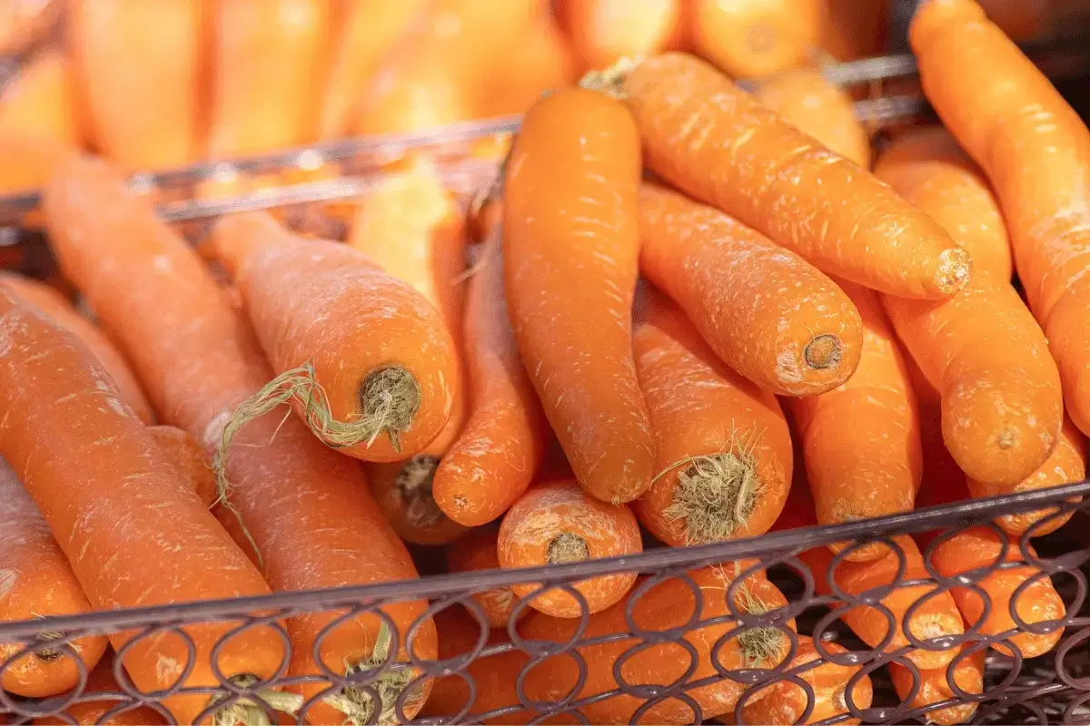 Carrots are one of the vegetables that help with constipation
