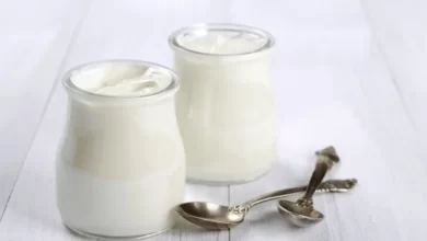 Top 10 Types of Greek Yogurt