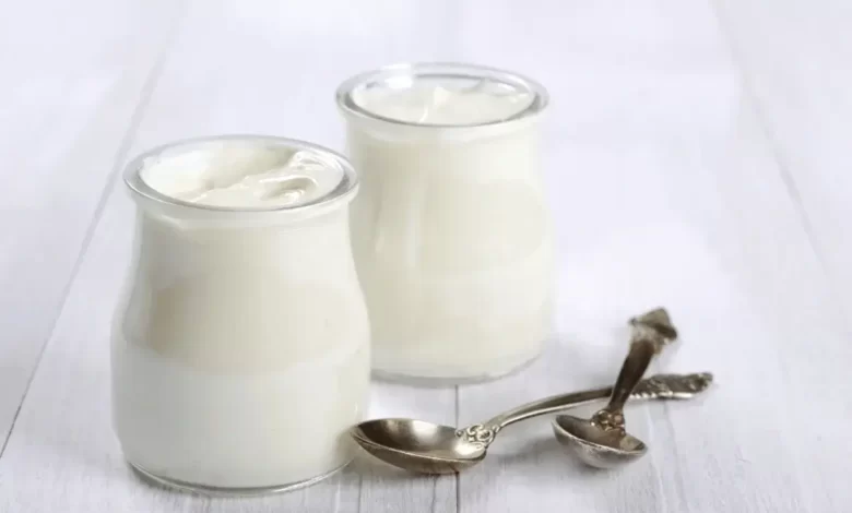 Top 10 Types of Greek Yogurt