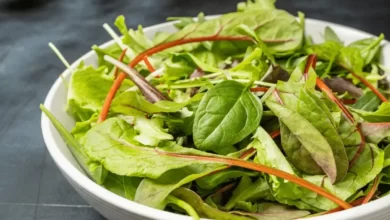 Top 10 Types of Green Salads