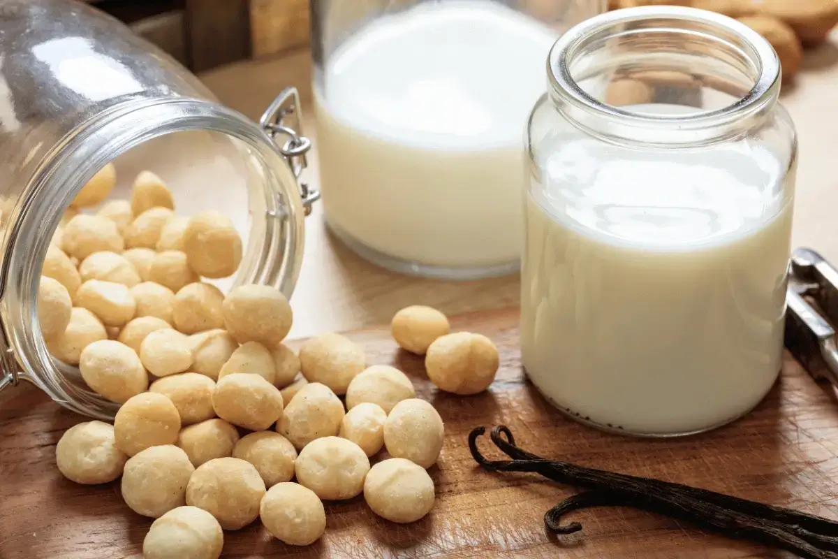 Macadamia nuts is one of the milk allowed on keto